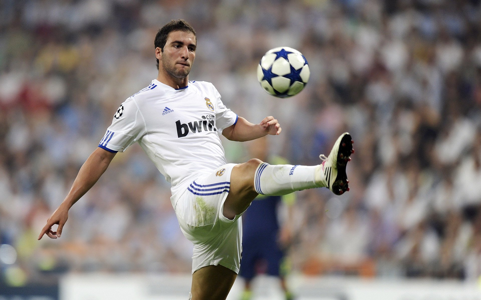 世界摔跤锦标赛竞争激烈